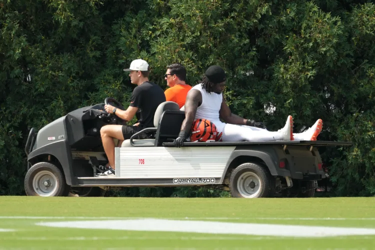 Bengals defensive end Shemar Stewart is carted off in first camp practice